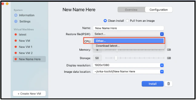 IPSW dropdown with Other option highlighted to select an existing file