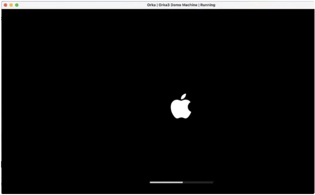 VM starting in a separate window in Orka Desktop