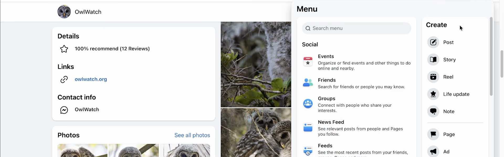 Create menu with the Page option