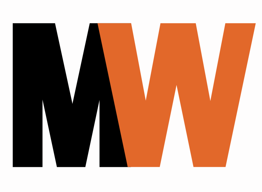 light logo