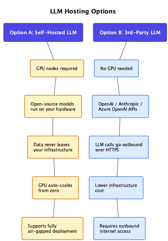 LLM hosting options