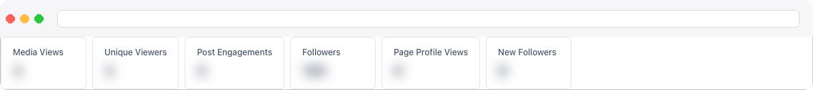 the row of page metric tiles: Media Views, Unique Viewers, Post Engagements, Followers, Page Profile Views, New Followers