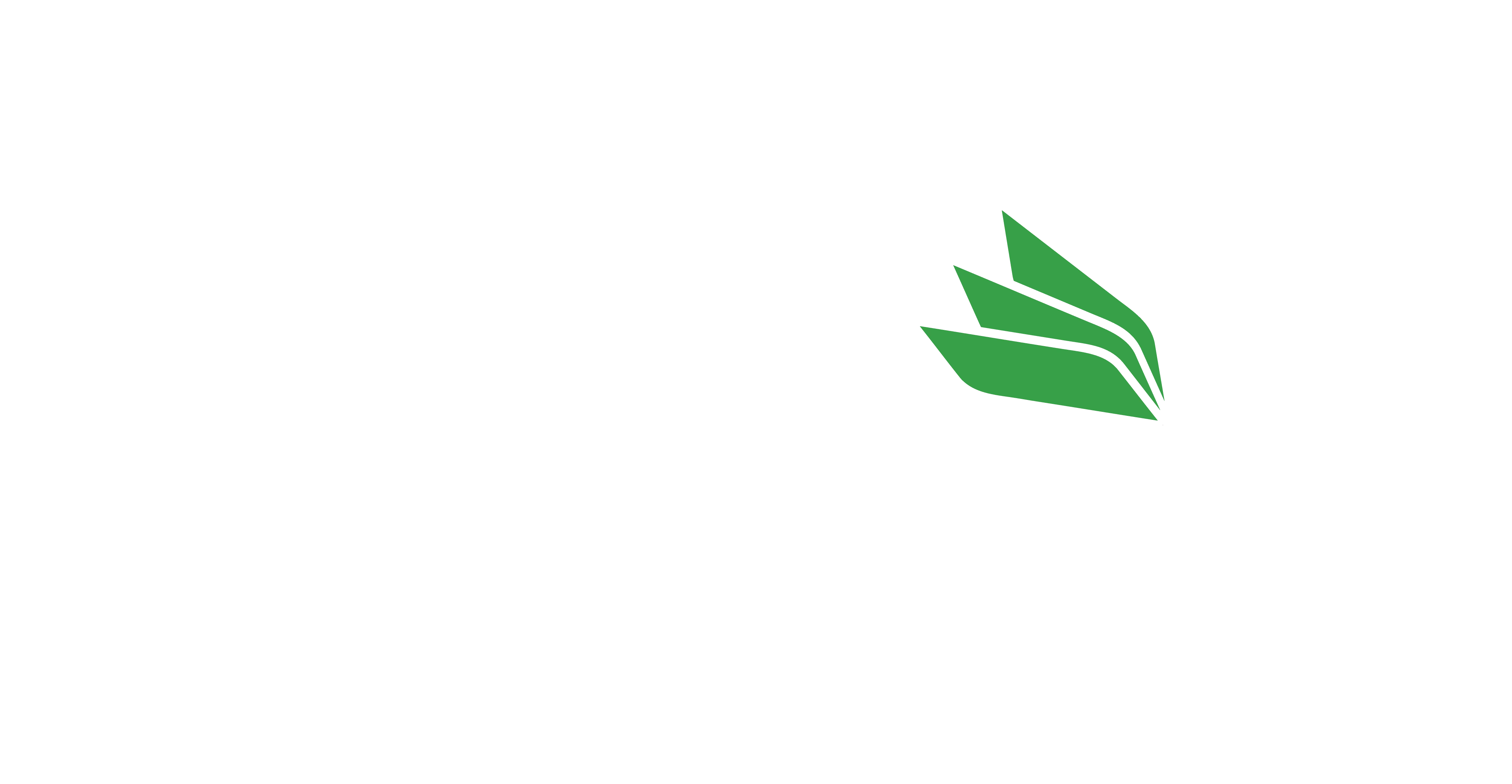 dark logo