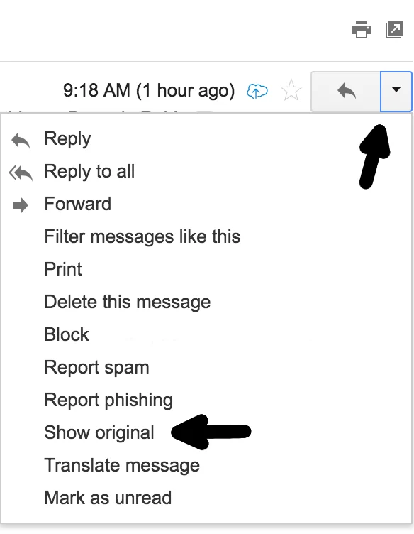 Gmail Show Original menu option