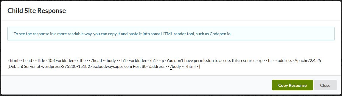 Modal window displaying raw server response code
