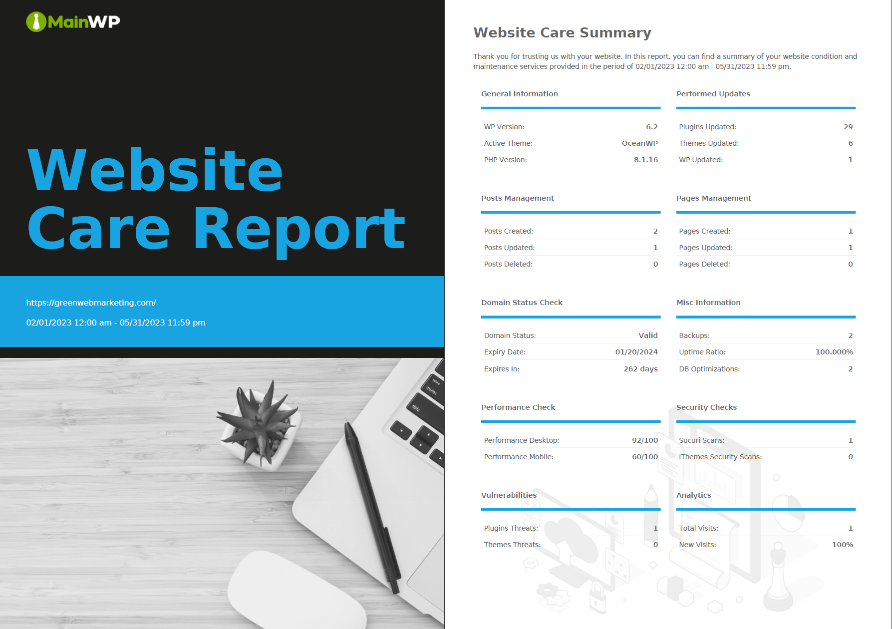 Report preview