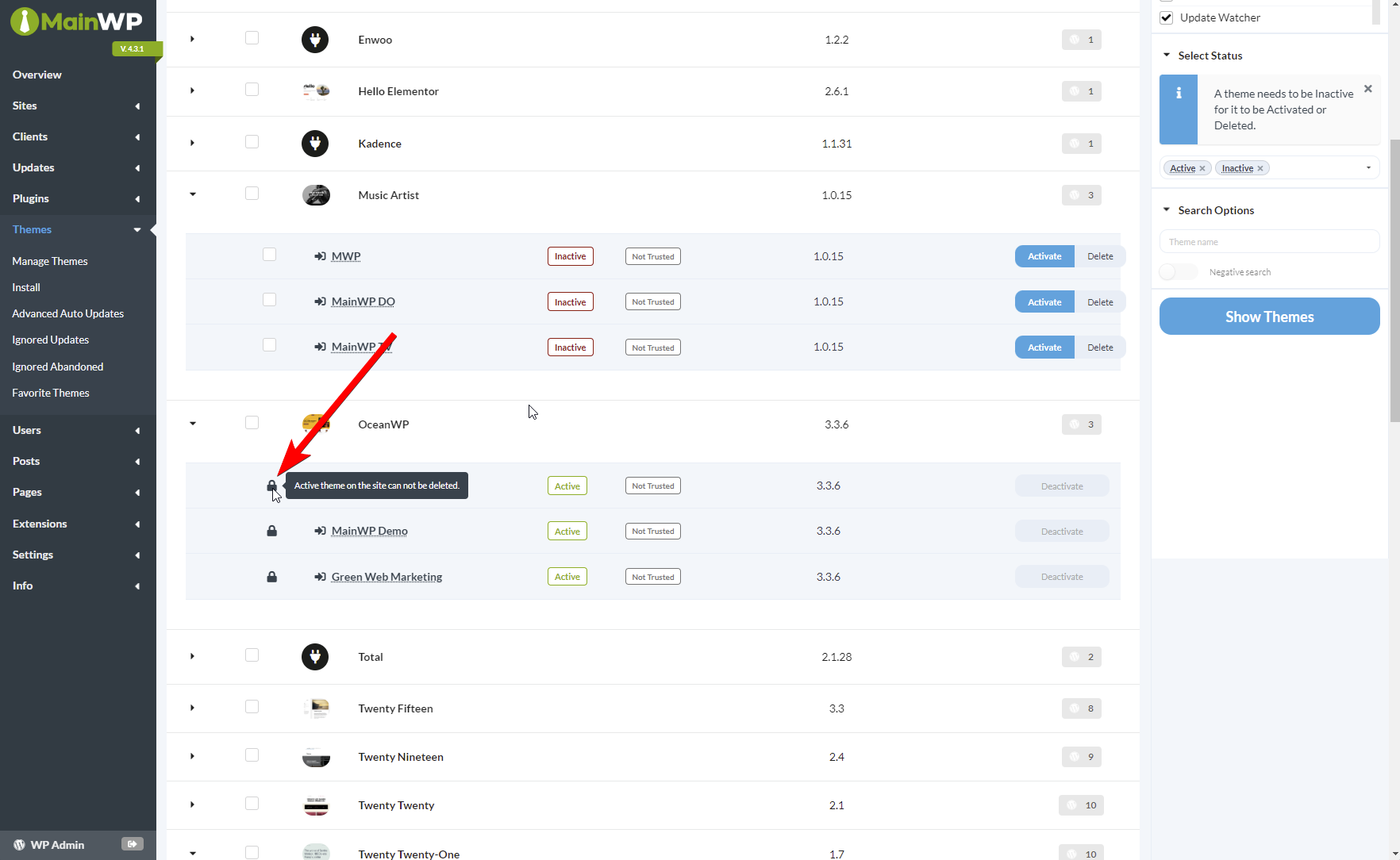 Parent theme lock icon on Manage Themes page
