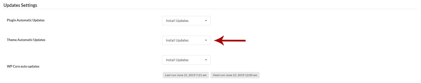 Update Settings section showing Theme Automatic Updates toggle enabled