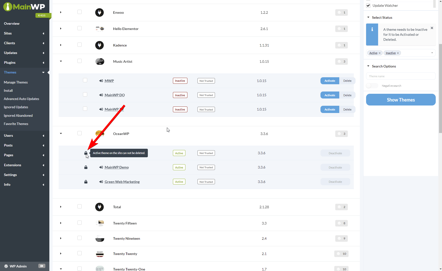 Parent theme lock icon on Manage Themes page