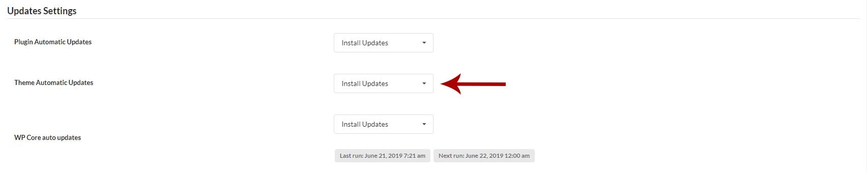 Update Settings section showing Theme Automatic Updates toggle enabled