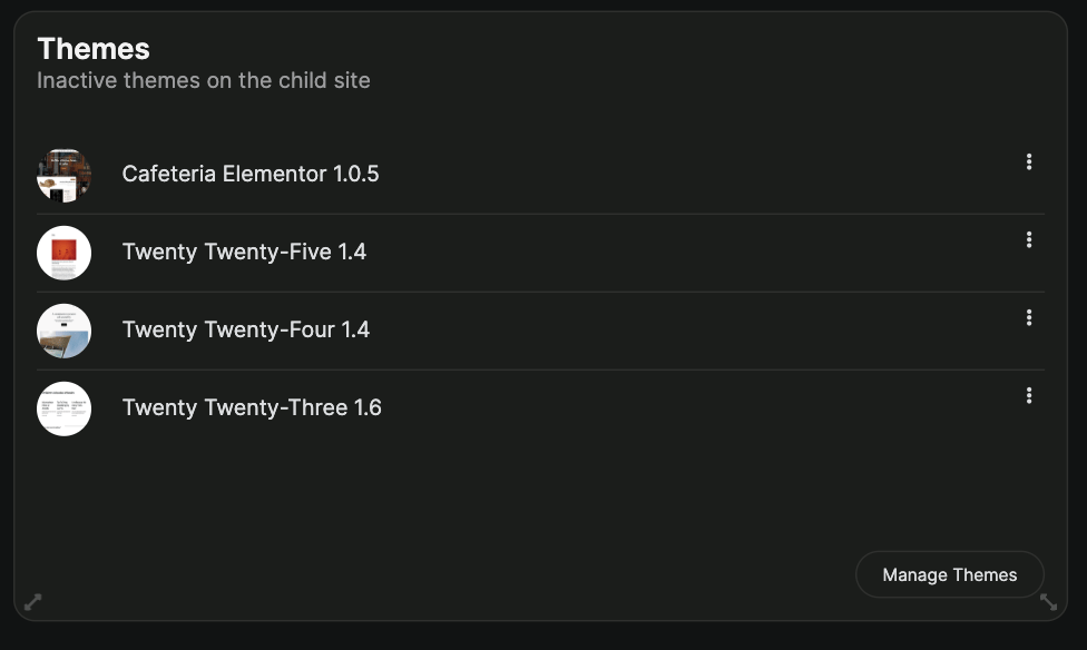 Themes widget displaying installed themes list