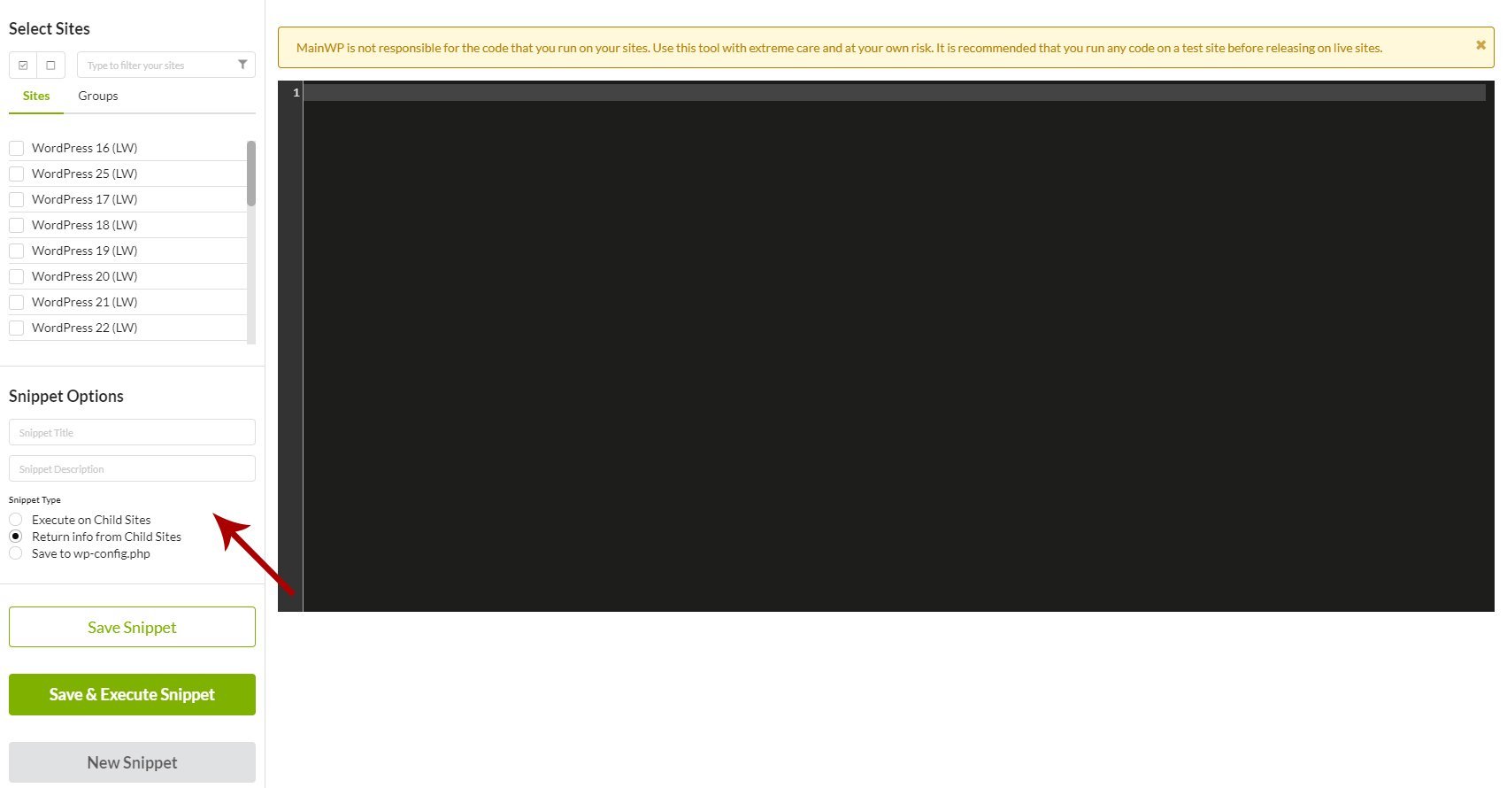 MainWP Code Snippets > Snippet Options