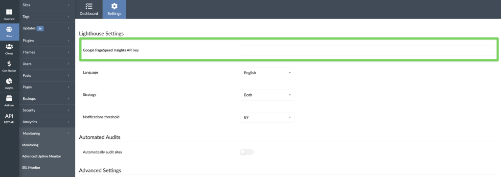 Screenshot of Lighthouse settings page with Google PageSpeed Insights API key field