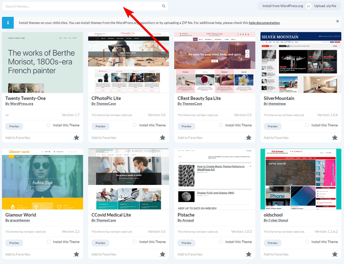Search Themes field in the Install from WordPress.org tab
