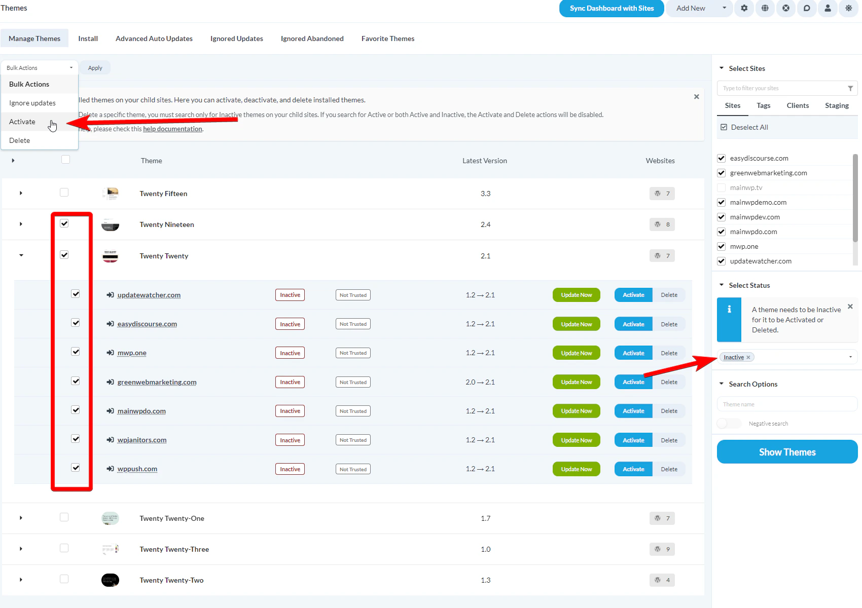 Manage Themes table with checkboxes to select themes and sites for activation