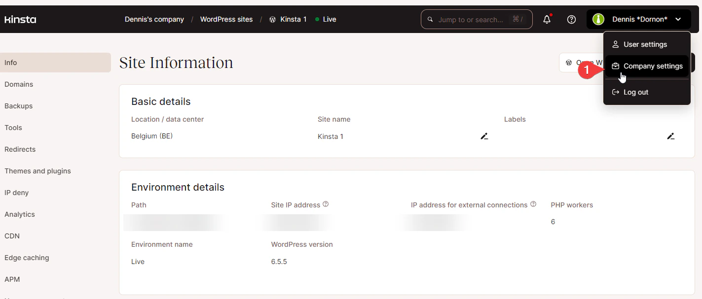 Kinsta API Keys navigation