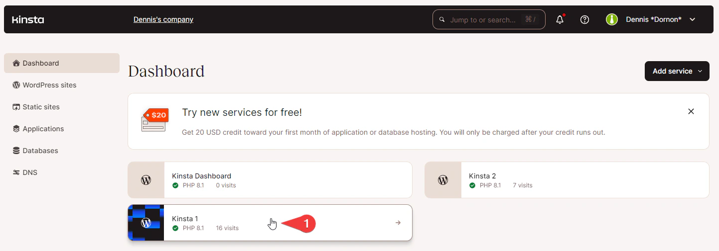 Kinsta Environment ID in address bar