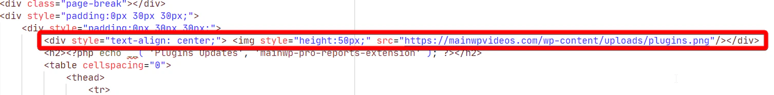 Report template code showing image insertion