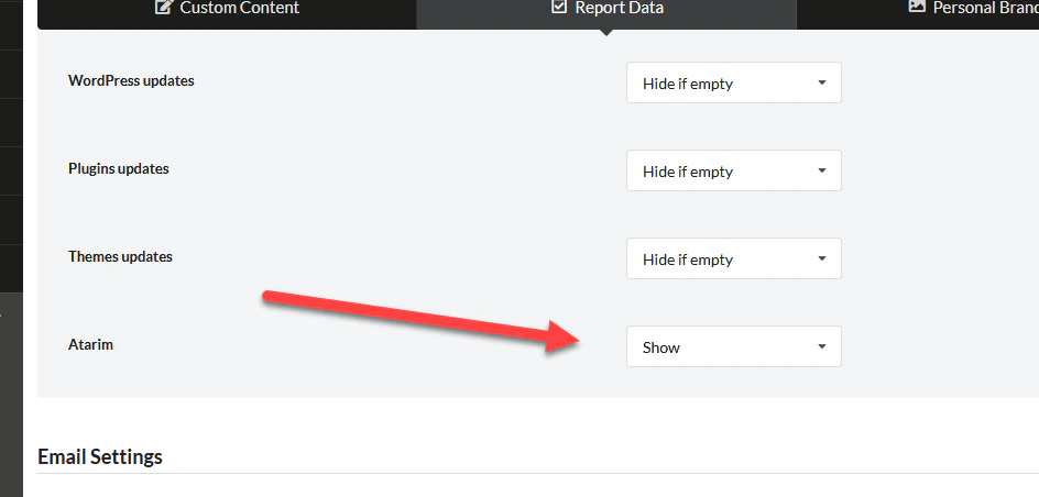Atarim pro reports settings