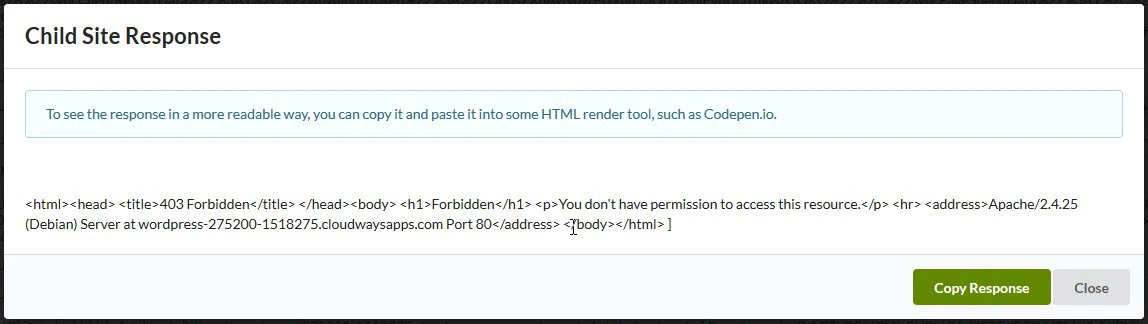 Modal window displaying raw server response code