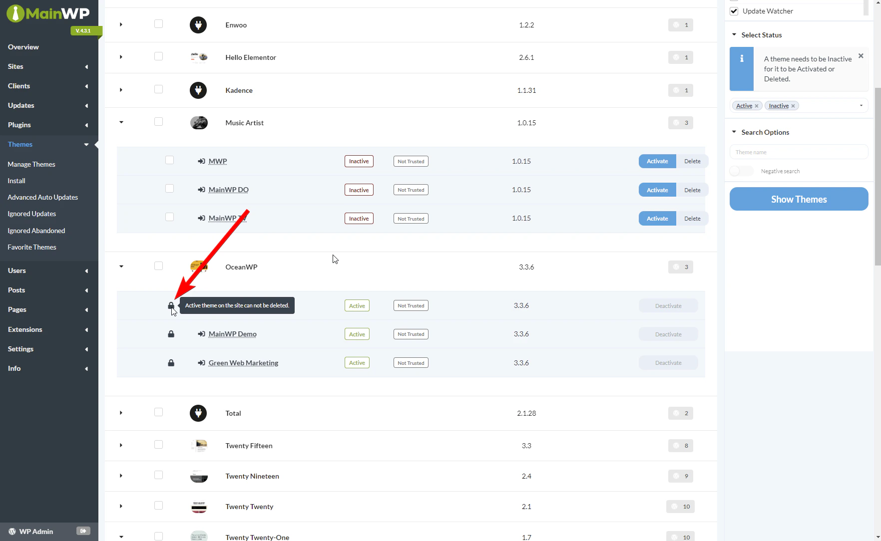 Parent theme lock icon on Manage Themes page