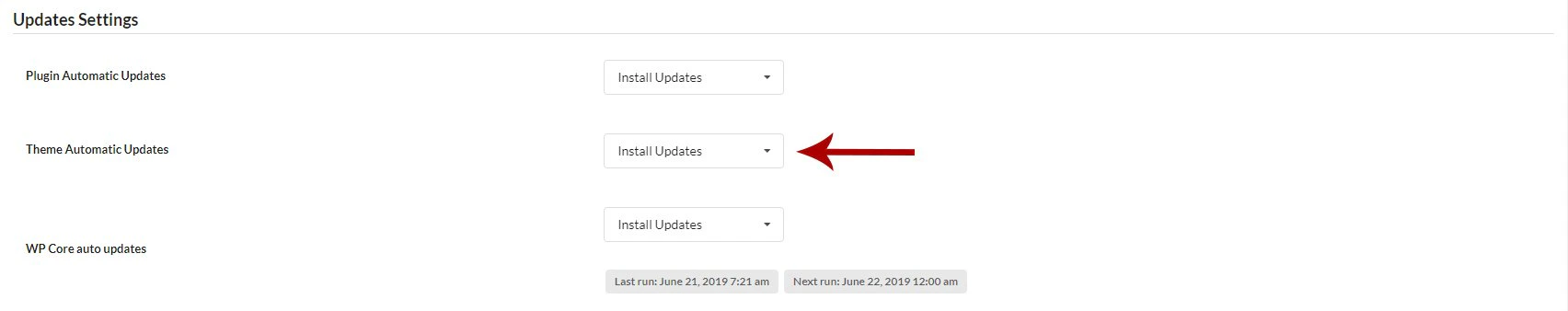 Update Settings section showing Theme Automatic Updates toggle enabled