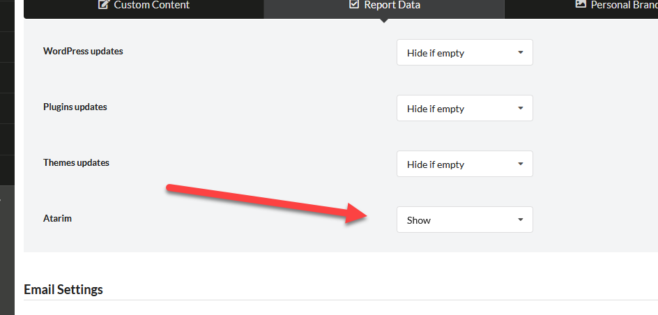 Atarim pro reports settings