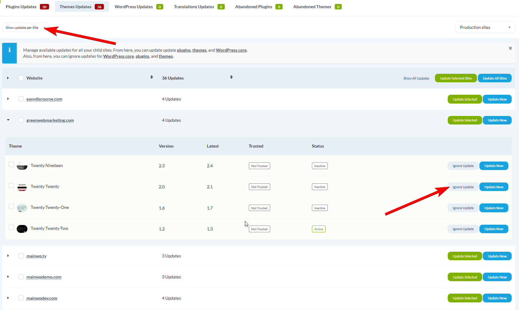 Themes Updates page showing per-site view with Ignore button for individual themes