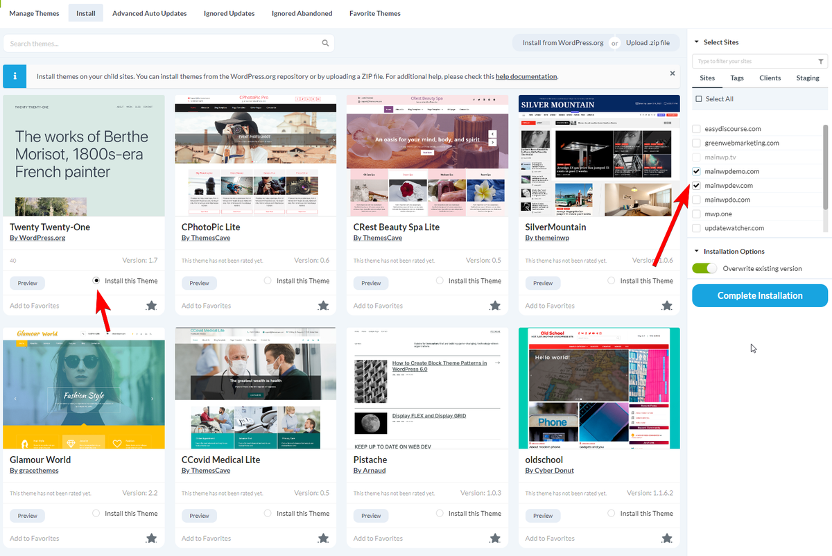 Theme search results with Install this Theme radio button selected