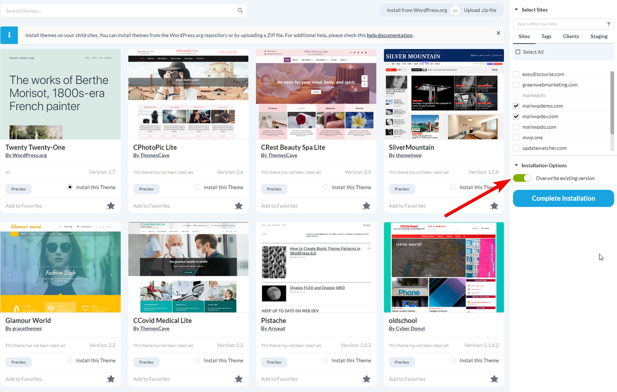 Overwrite existing checkbox in Installation Options