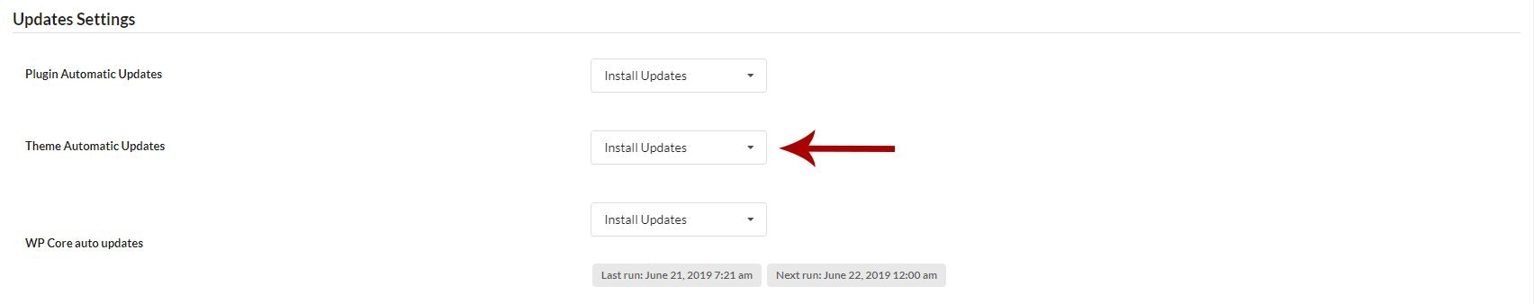 Update Settings section showing Theme Automatic Updates toggle enabled