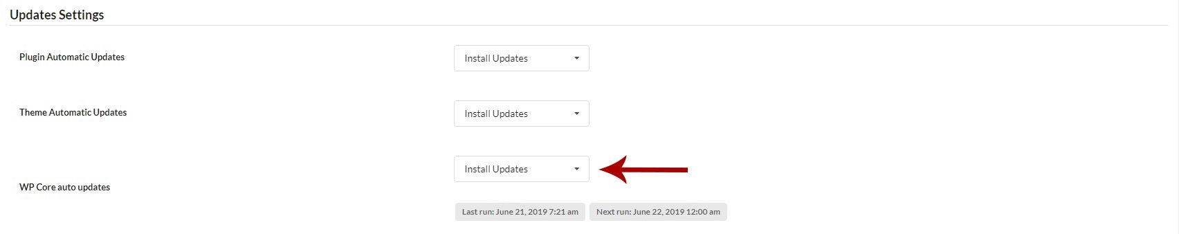 Update Settings section showing WP Core auto-updates dropdown with Install updates option