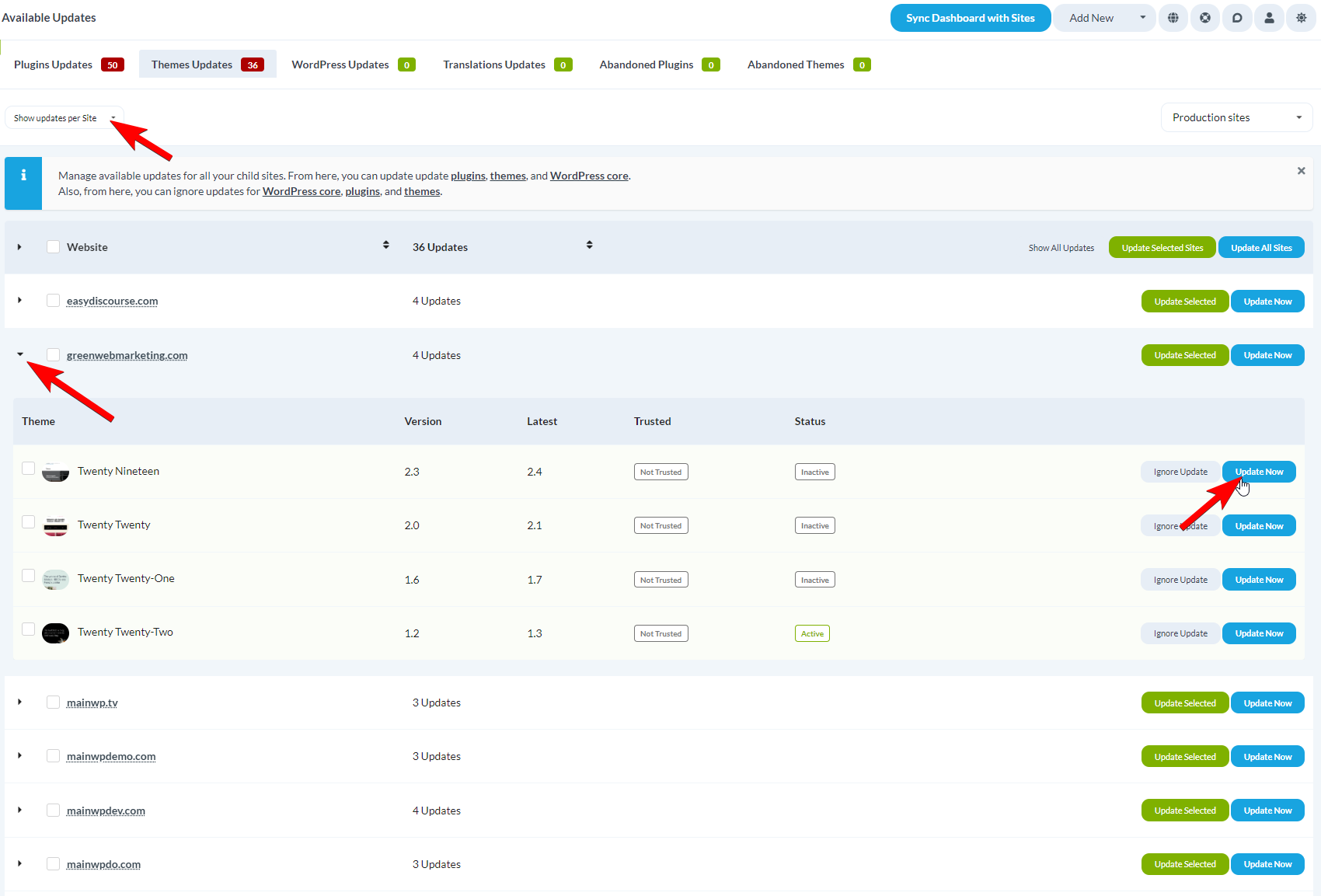 Themes Updates per-site view showing expanded row with individual theme Update Now button