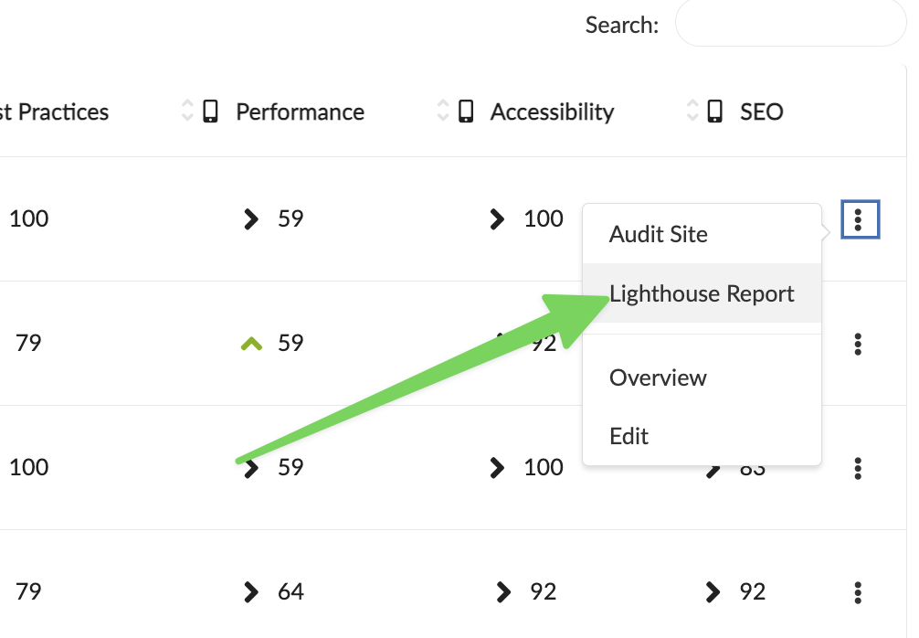 Screenshot showing Lighthouse Report action in site Actions Menu