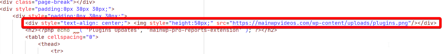 Report template code showing image insertion