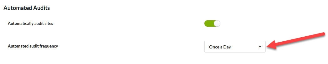 Screenshot showing Automated audit frequency dropdown options