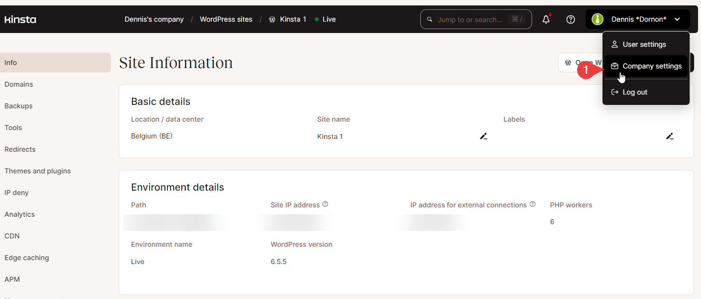 Kinsta API Keys navigation