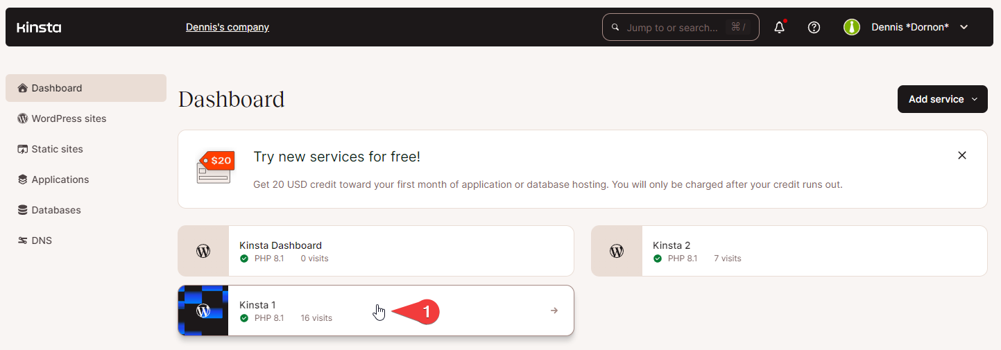 Kinsta Environment ID in address bar