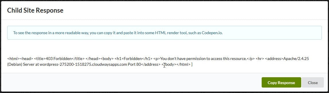Modal window displaying raw server response code
