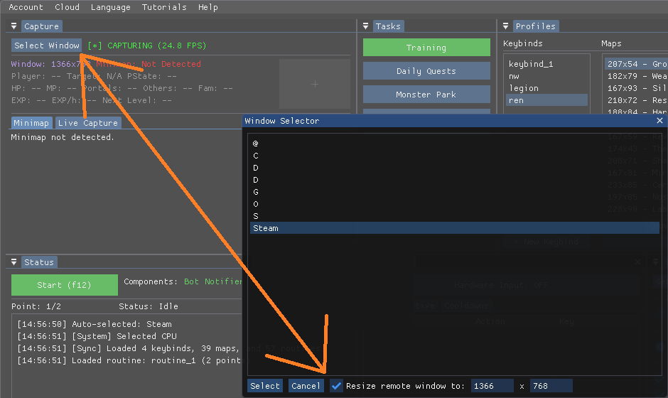 Resize remote window