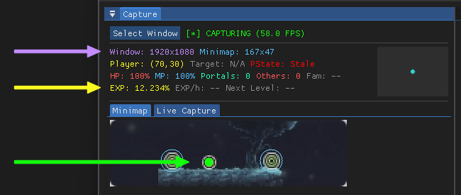 Capture confirmation showing resolution, EXP, and minimap detection