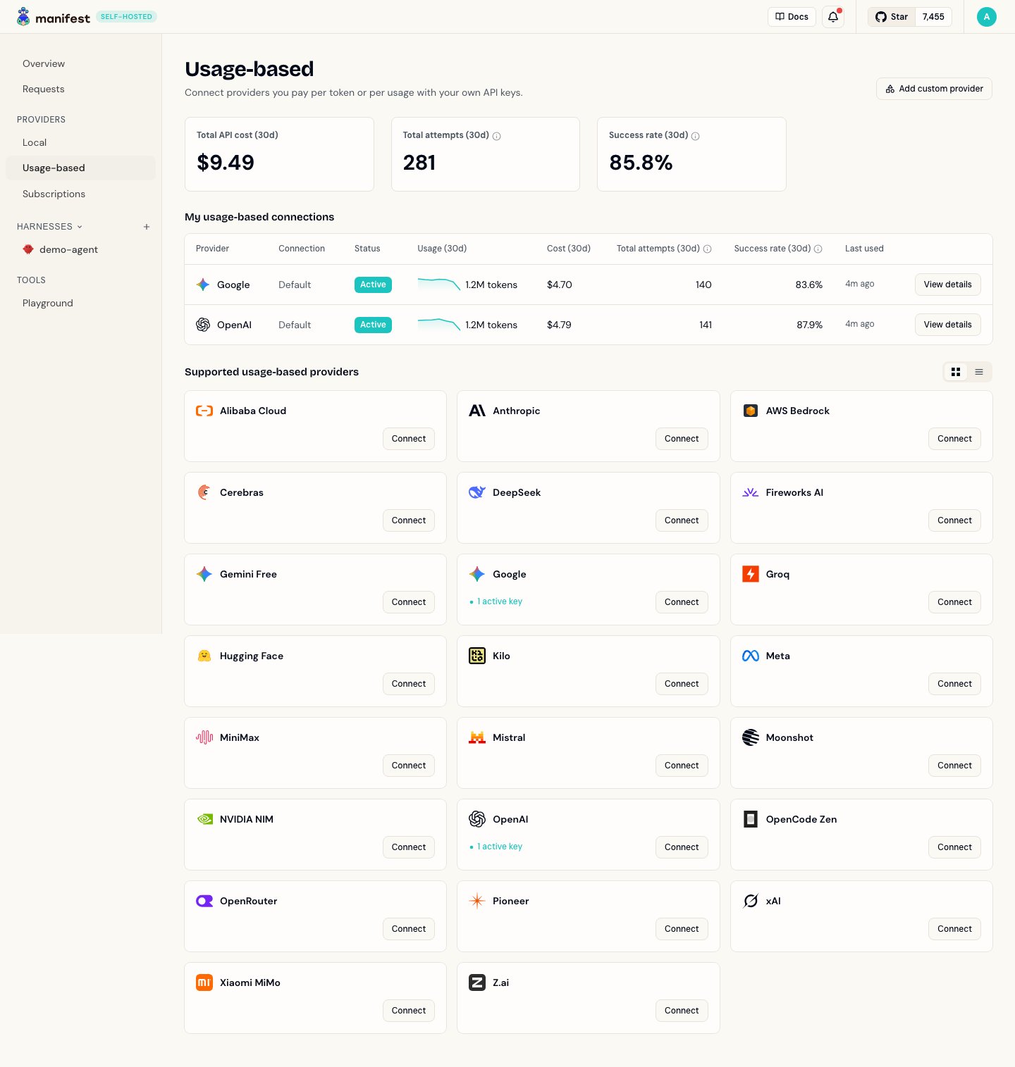 The Providers → Usage-based page showing the sidebar Providers section, the connections table, and the grid of supported provider cards with Connect buttons