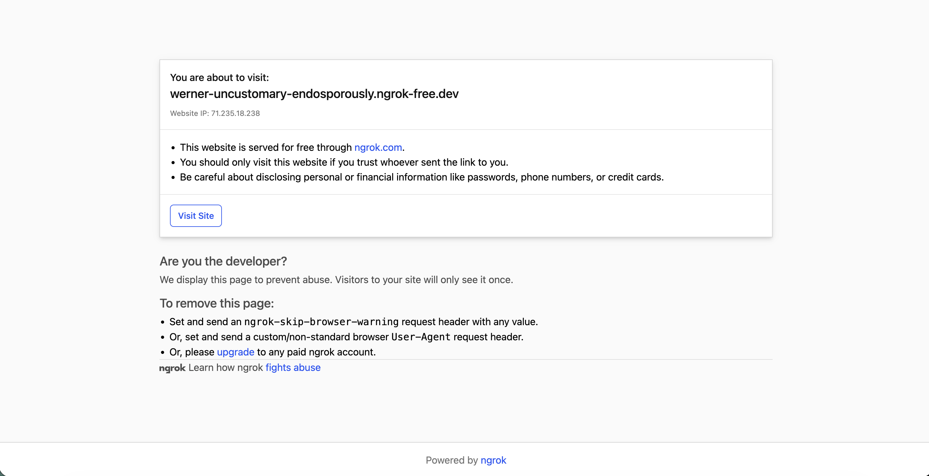 ngrok browser security warning