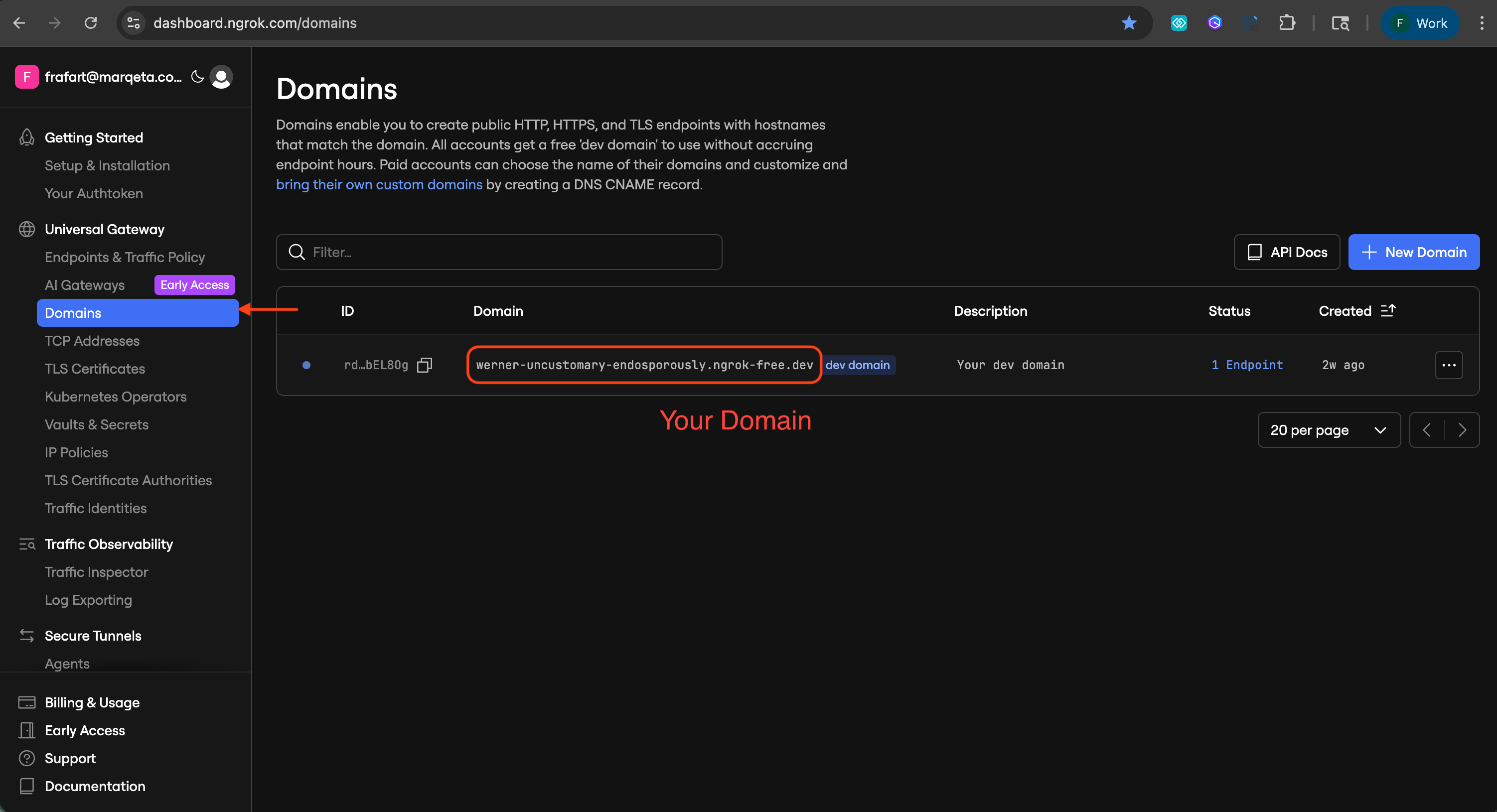 ngrok Dashboard