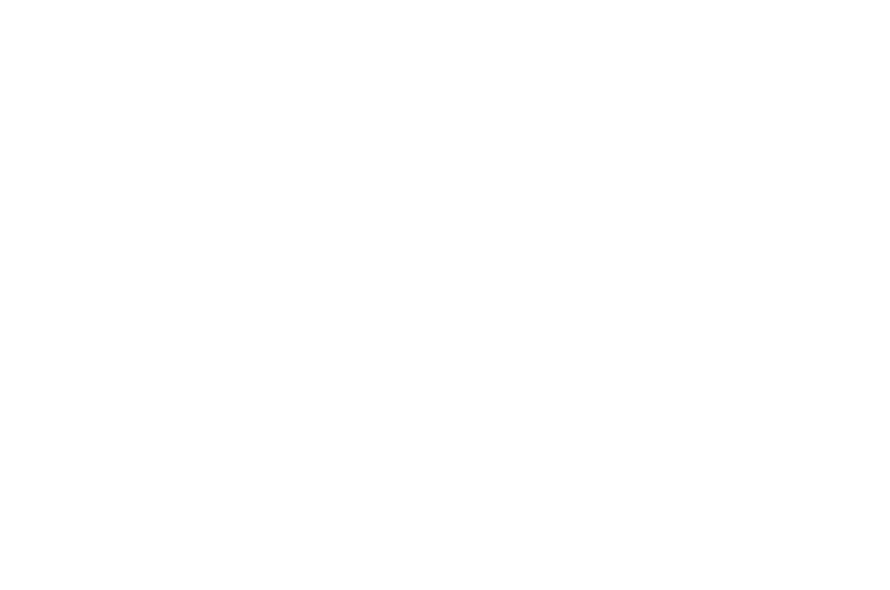 light logo