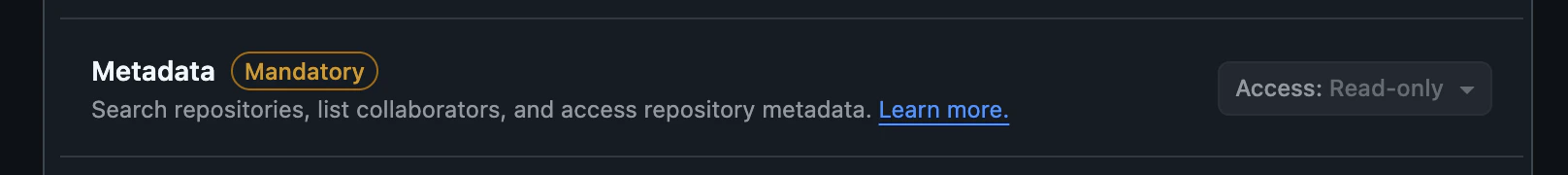 Repository Metadata Permission