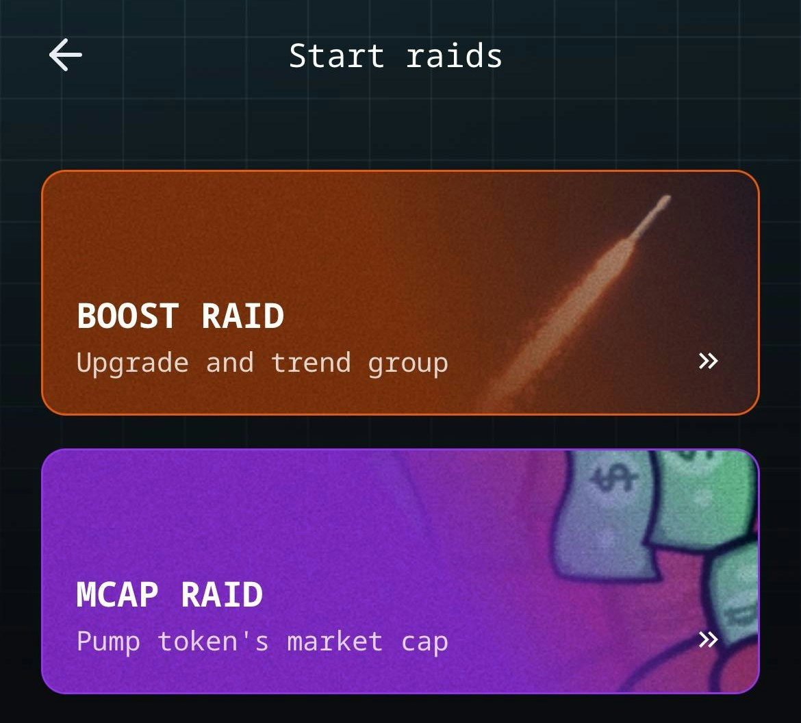 Raids Raids