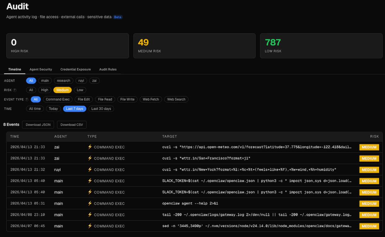 Security Audit — risk-scored event timeline