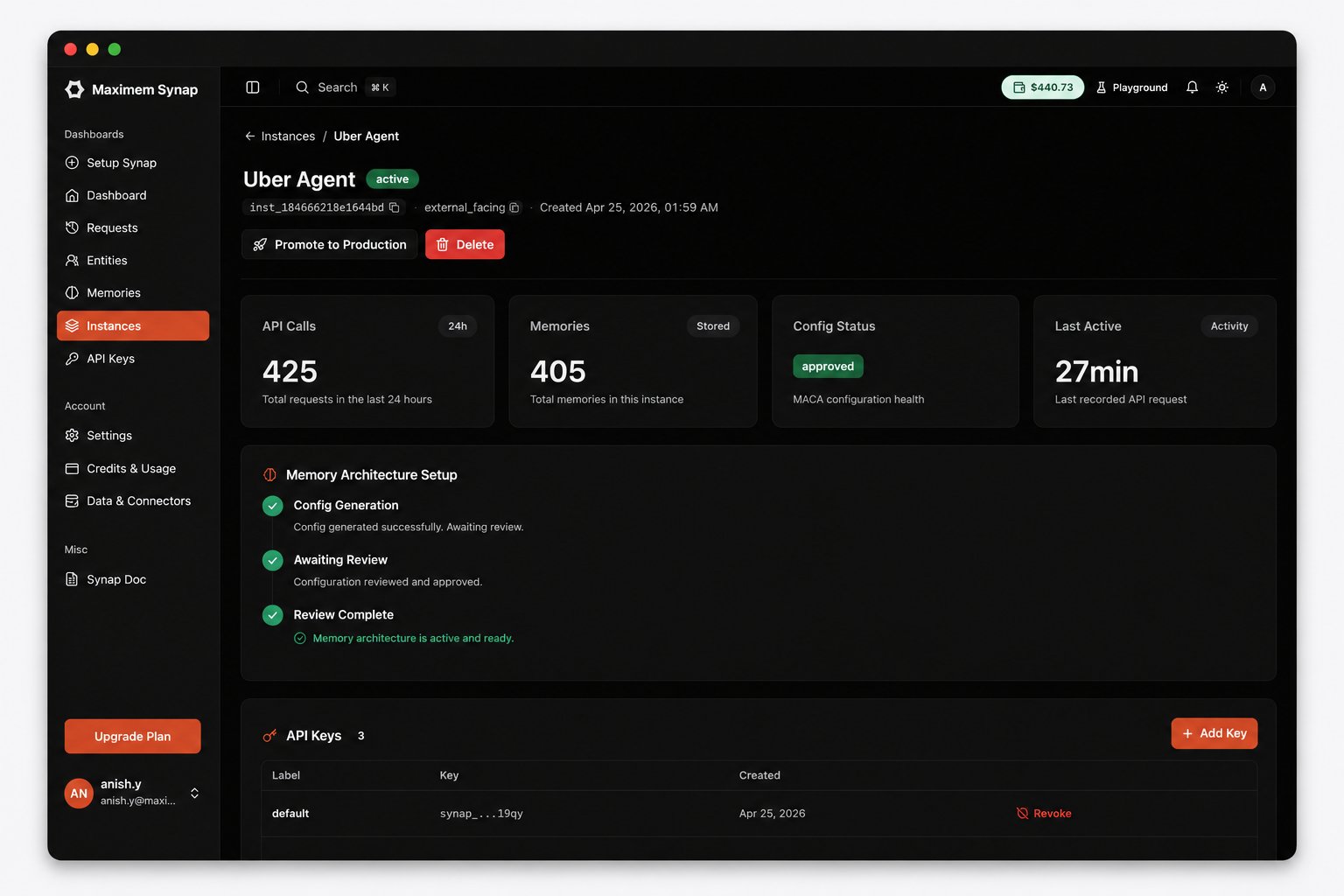 Dashboard showing API calls and memory counts