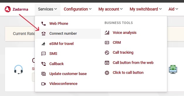 Zadarma - Services Configuration